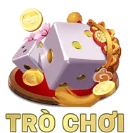 Tiền điện tử (USDT)