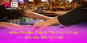 Kham Pha Keo Chau A Tro Choi Ca Cuoc Ay Hap Dan Tai Tx88